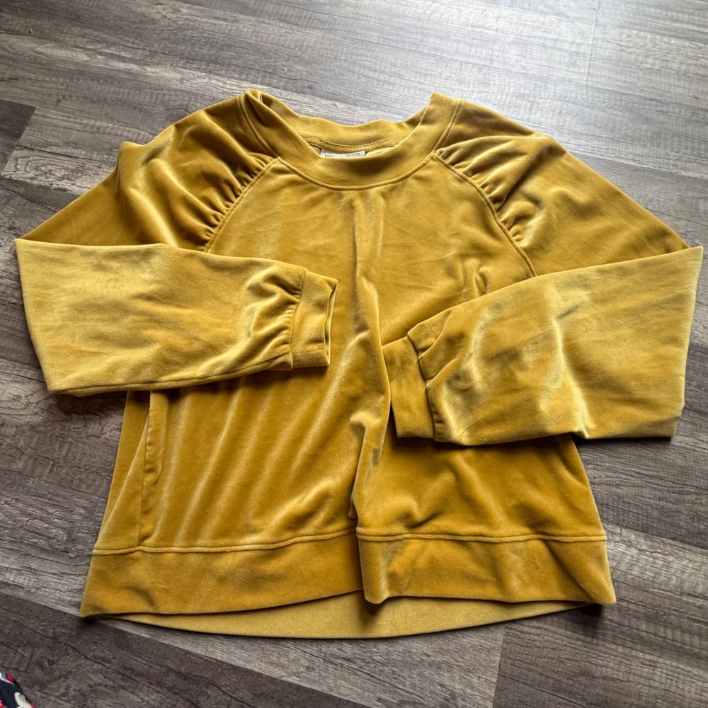 Saturday Sunday by Anthropologie Velvet Sweatshirt